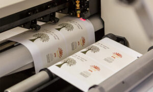 How to label digital photos – New Printing Era