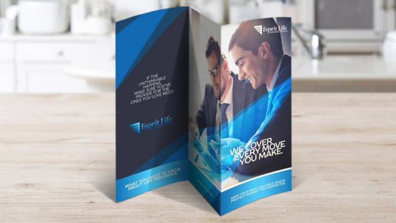 gate fold brochures